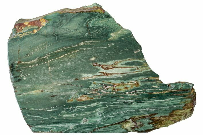 Gary Green Jasper (Larsonite) Bog Wood Slab - Oregon #314984